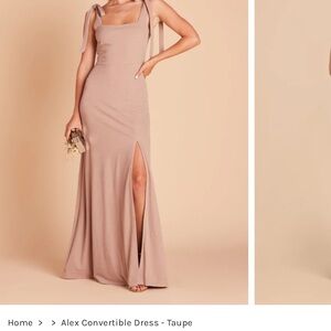 Birdy Grey Taupe Convertible Dress